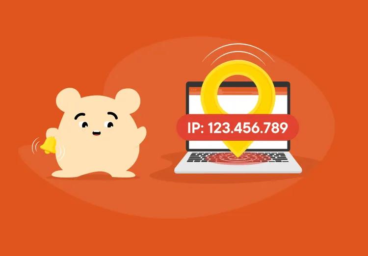 7 Benefits of Tracking an IP Address-item