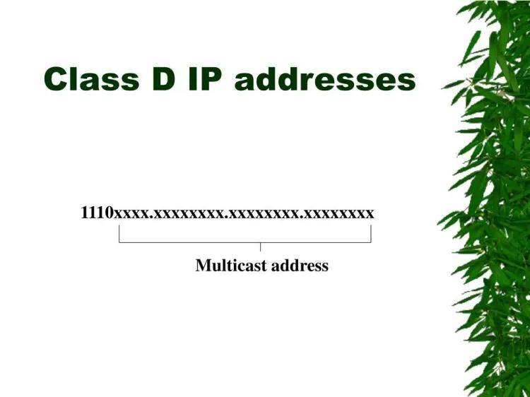 Introduction of Class D IP addresses-item