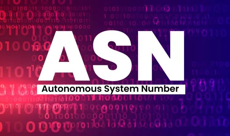 Forståelse af ASNs og deres betydning i internetinfrastrukturen
-item