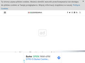 300gospodarka.pl-screenshot