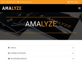 amalyze.com-screenshot
