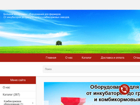 ap-bl.ru-screenshot