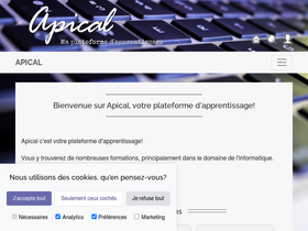 apical.xyz-screenshot-desktop