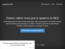 arsenkin.ru-screenshot