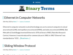 binaryterms.com-screenshot