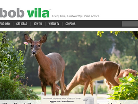 bobvila.com-screenshot