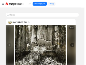 chagnavstretchy.mirtesen.ru-screenshot