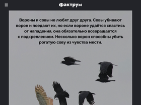 factroom.ru-screenshot-desktop
