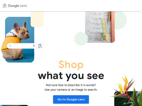 lens.google-screenshot-desktop