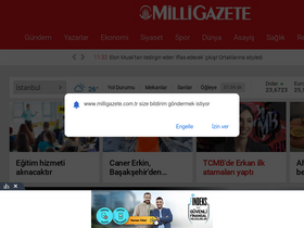 milligazete.com.tr-screenshot