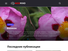 noomind.ru-screenshot