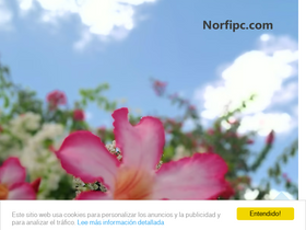 norfipc.com-screenshot