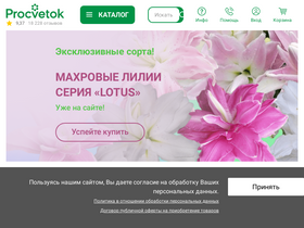 procvetok.by-screenshot