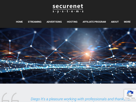 securenetsystems.net-screenshot