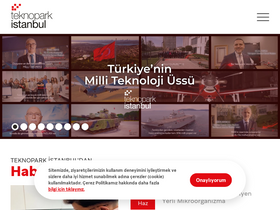 teknoparkistanbul.com.tr-screenshot