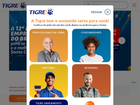 tigre.com.br-screenshot