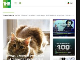 tnv.ru-screenshot