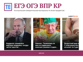 tolkoexamen.ru-screenshot