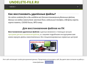 undelete-file.ru-screenshot