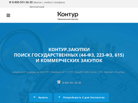 zakupki-kontur.ru-screenshot