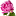 flowergarden.pro-logo