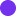 purpleads.io-logo