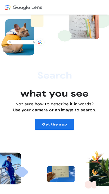 lens.google-screenshot-mobile
